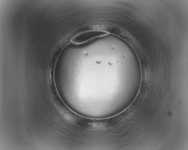 X0000070380733200606161343