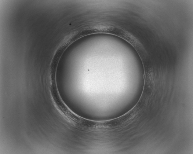 X0000070380734200606161343