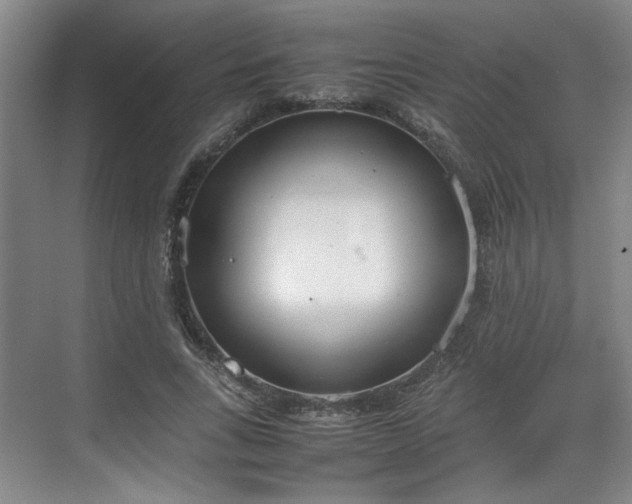 X0000070380735200606161343