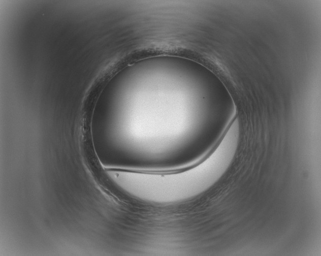 X0000070380736200606161343