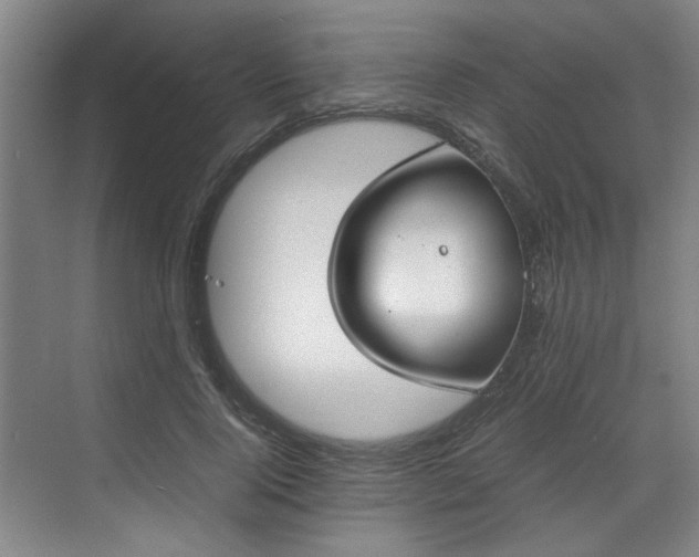 X0000070380740200606161343