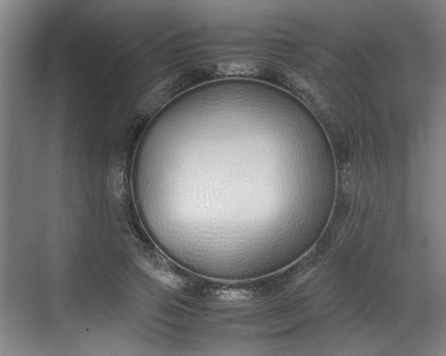 X0000070380741200606161343