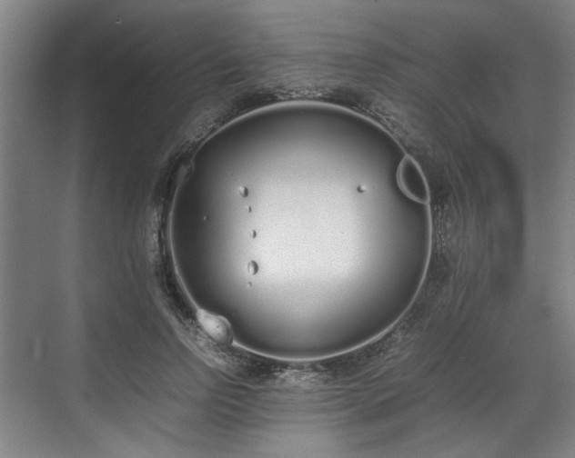 X0000070380742200606161343