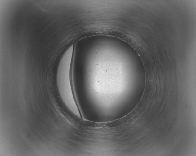 X0000070380744200606161343