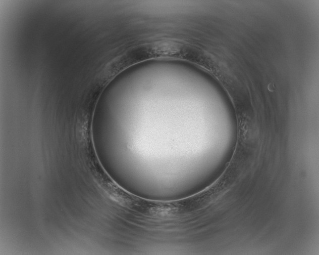 X0000070380745200606161343