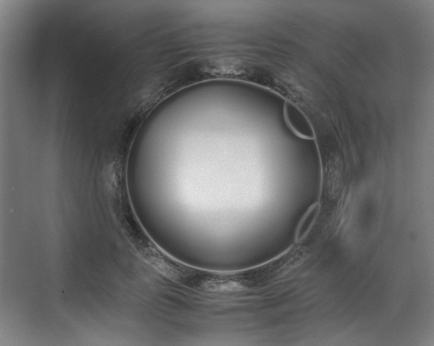 X0000070380747200606161343