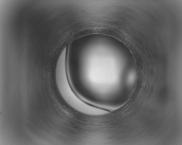 X0000070380750200606161343