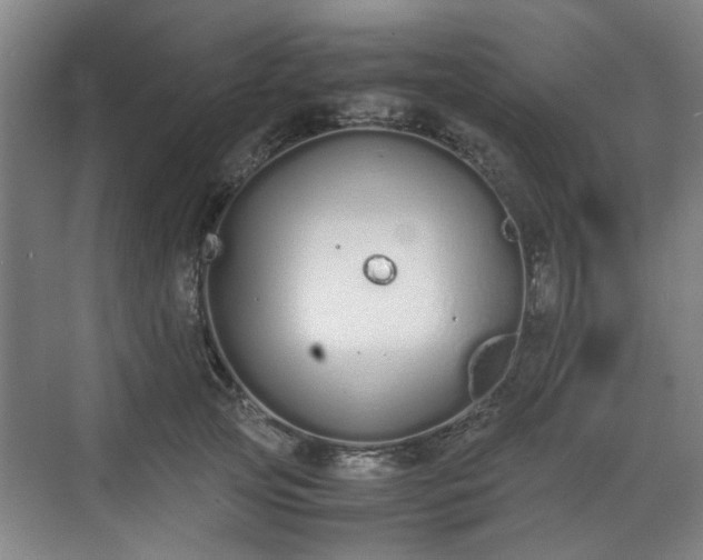 X0000070380753200606161343