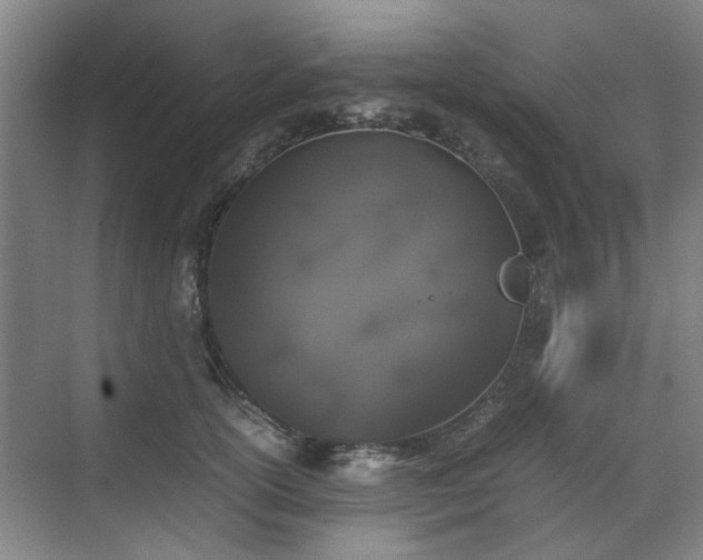 X0000070380754200606161343