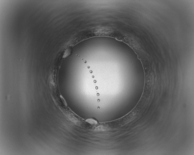 X0000070380755200606161343