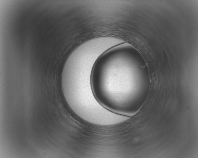 X0000070380756200606161343