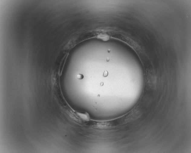 X0000070380758200606161344