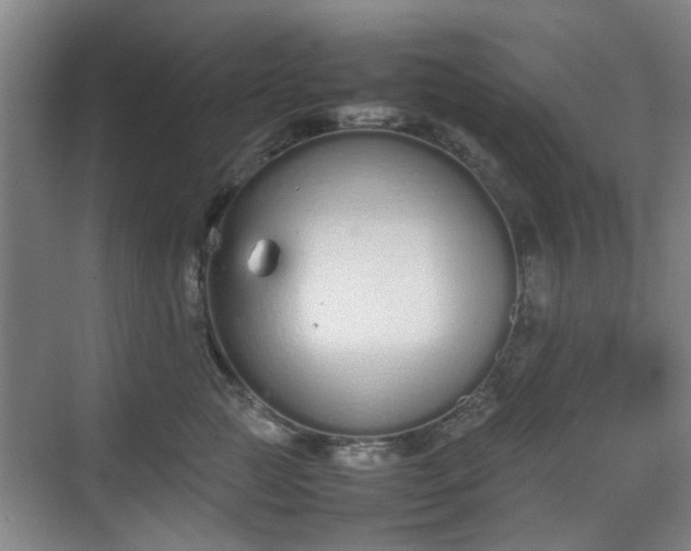 X0000070380761200606161344