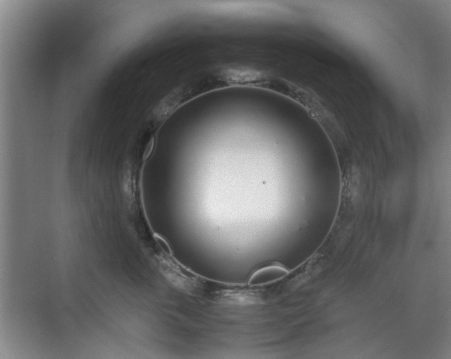 X0000070380763200606161344