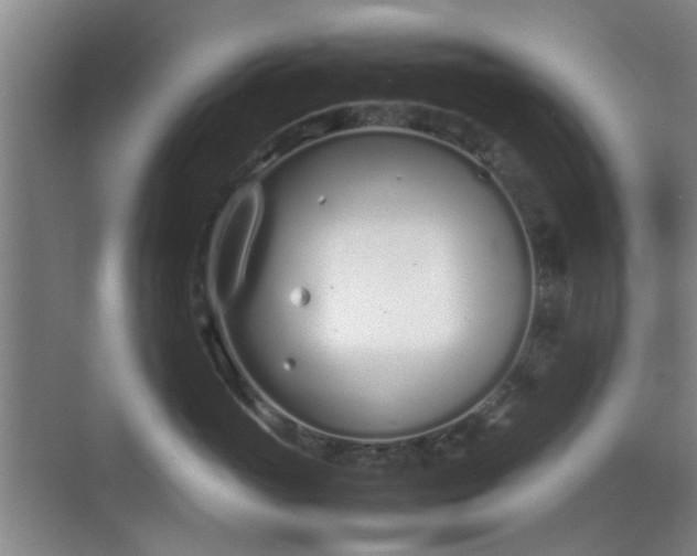 X0000070380765200606161344