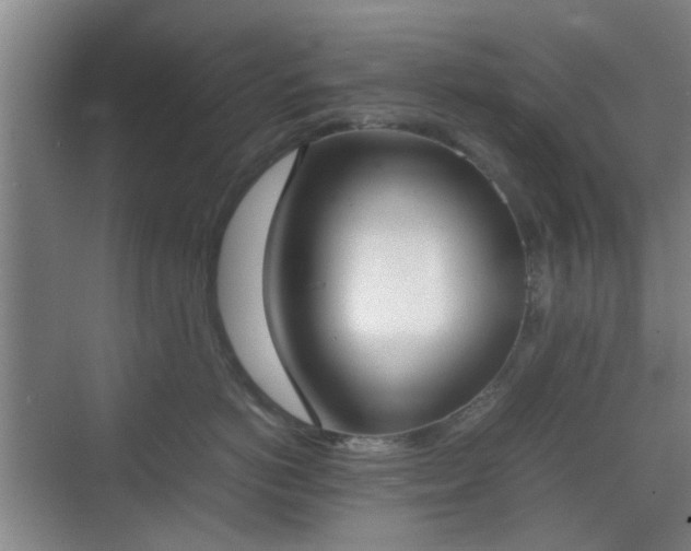 X0000070380766200606161344