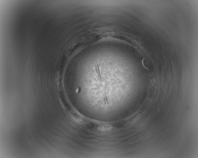 X0000070380767200606161344