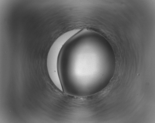 X0000070380768200606161344