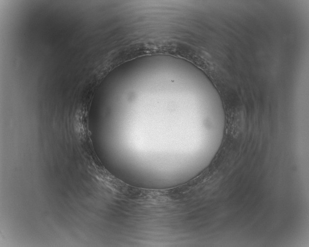 X0000070380770200606161343