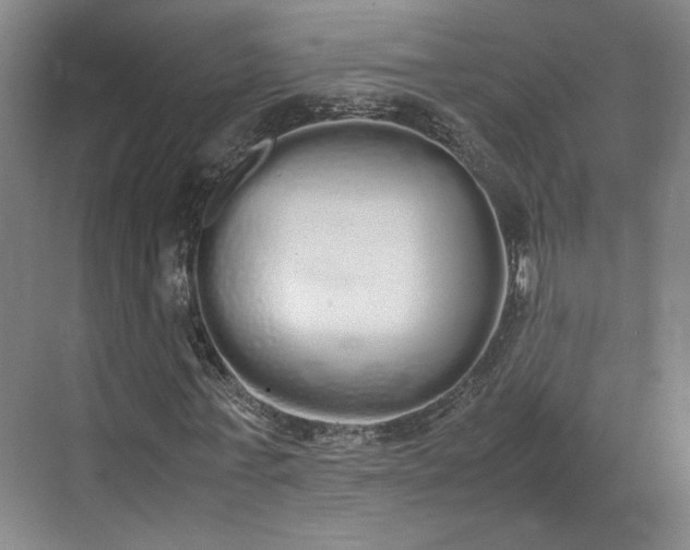 X0000070380771200606161343