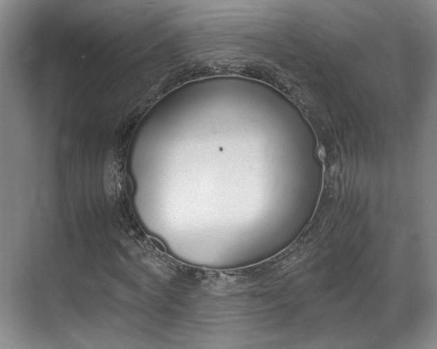 X0000070380772200606161343