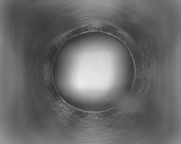 X0000070380773200606161343