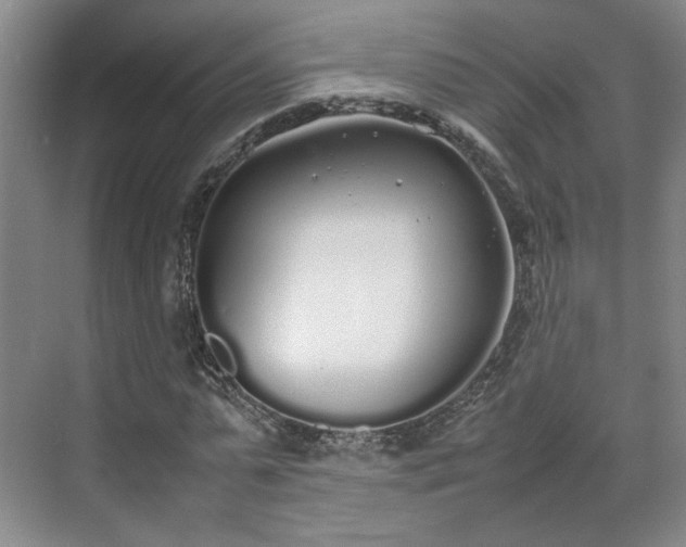 X0000070380775200606161343