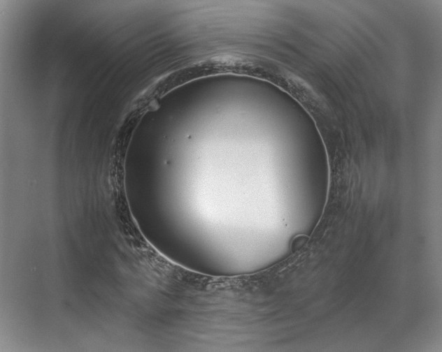 X0000070380776200606161343