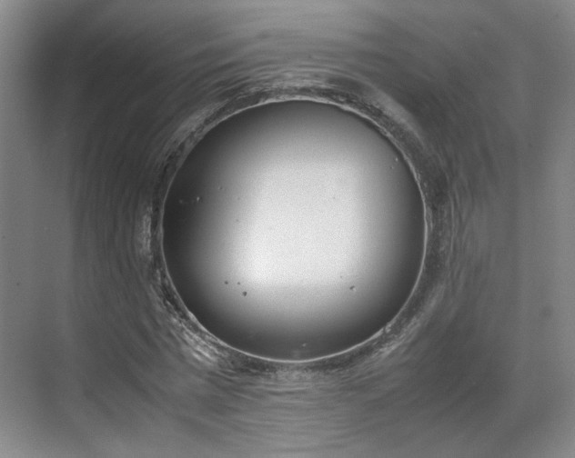 X0000070380777200606161343