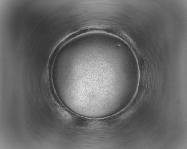 X0000070380779200606161343