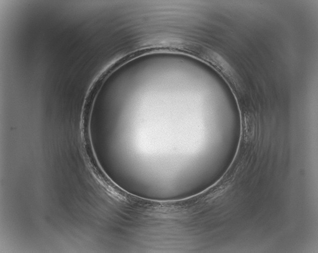 X0000070380780200606161343