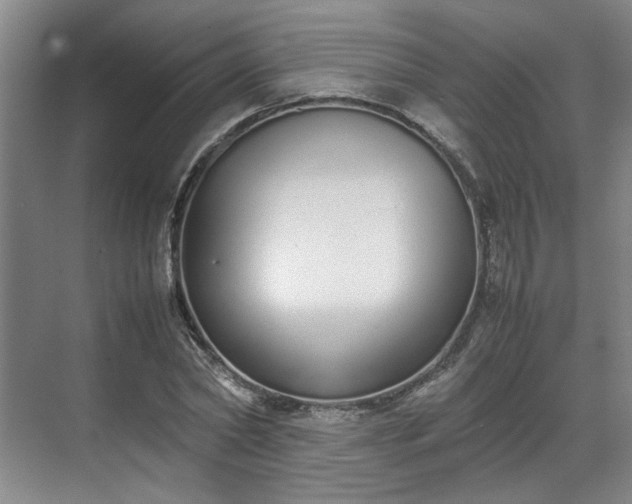 X0000070380782200606161343