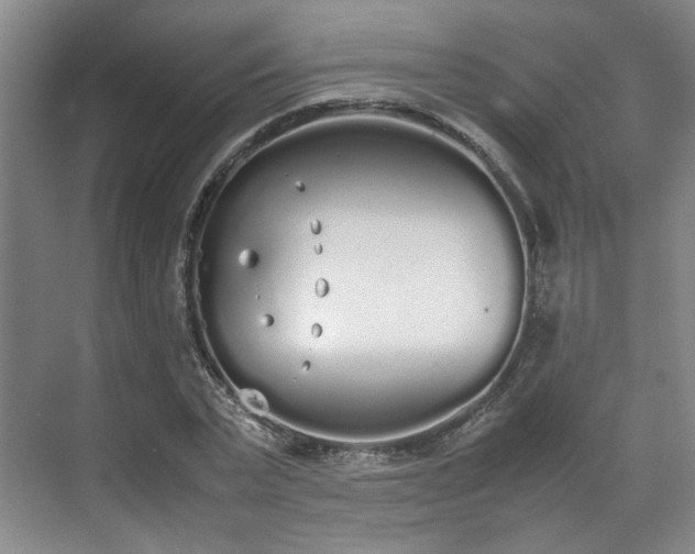 X0000070380783200606161343