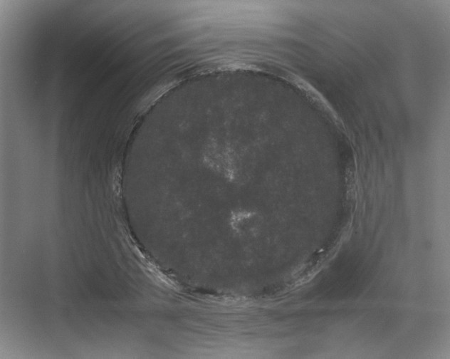 X0000070380785200606161343