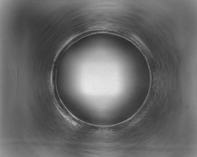 X0000070380788200606161343