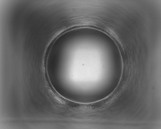 X0000070380789200606161343