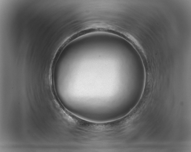 X0000070380791200606161343