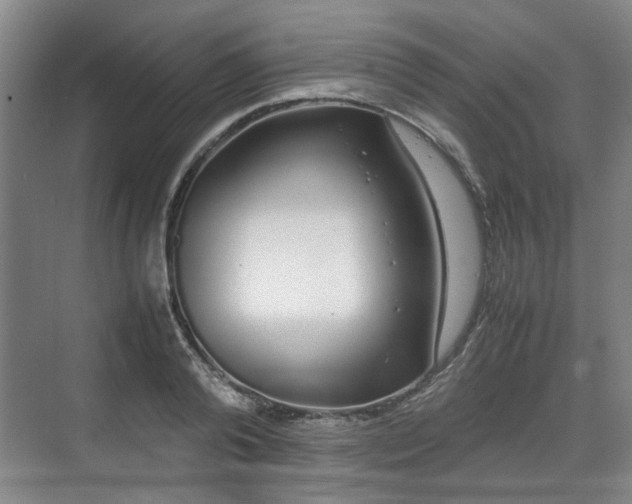 X0000070380792200606161342