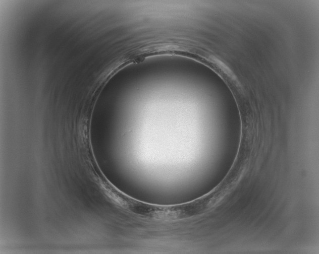 X0000070380793200606161342