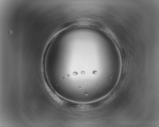 X0000070380795200606161342