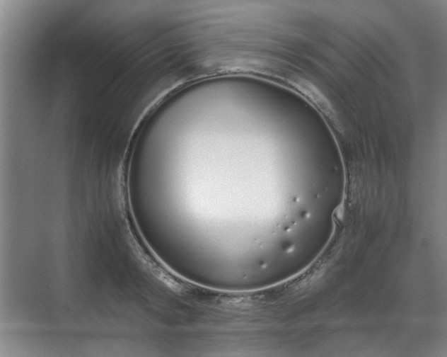 X0000070380798200606161342