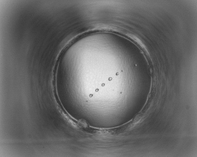 X0000070380799200606161342