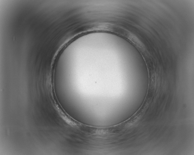 X0000070380800200606161342