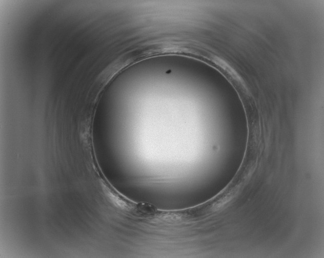 X0000070380801200606161342