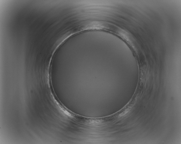 X0000070380802200606161342