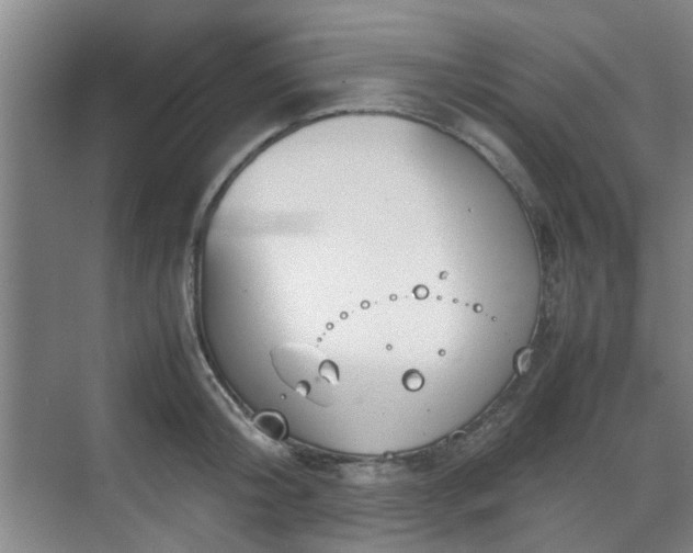 X0000070380804200606161342