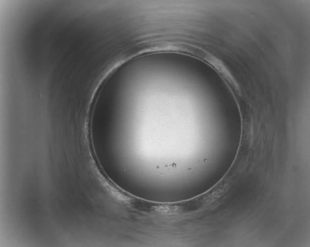 X0000070380805200606161342