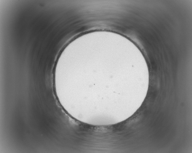 X0000070380807200606161342