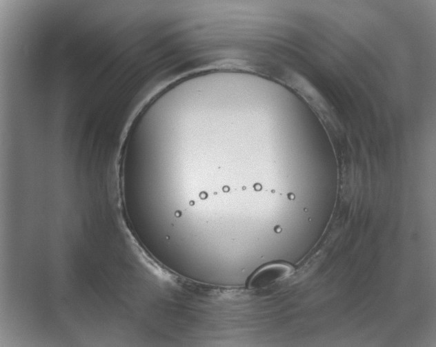 X0000070380808200606161342