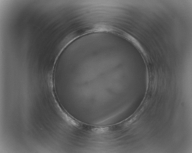 X0000070380810200606161342